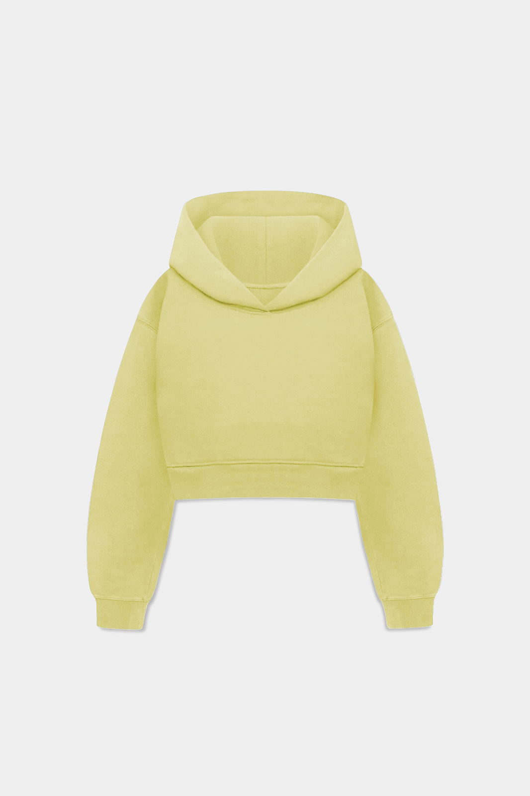 WS WOMEN'S CROP HOODIE